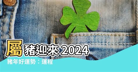 2024年 豬年運程|2024 肖豬流年運程 